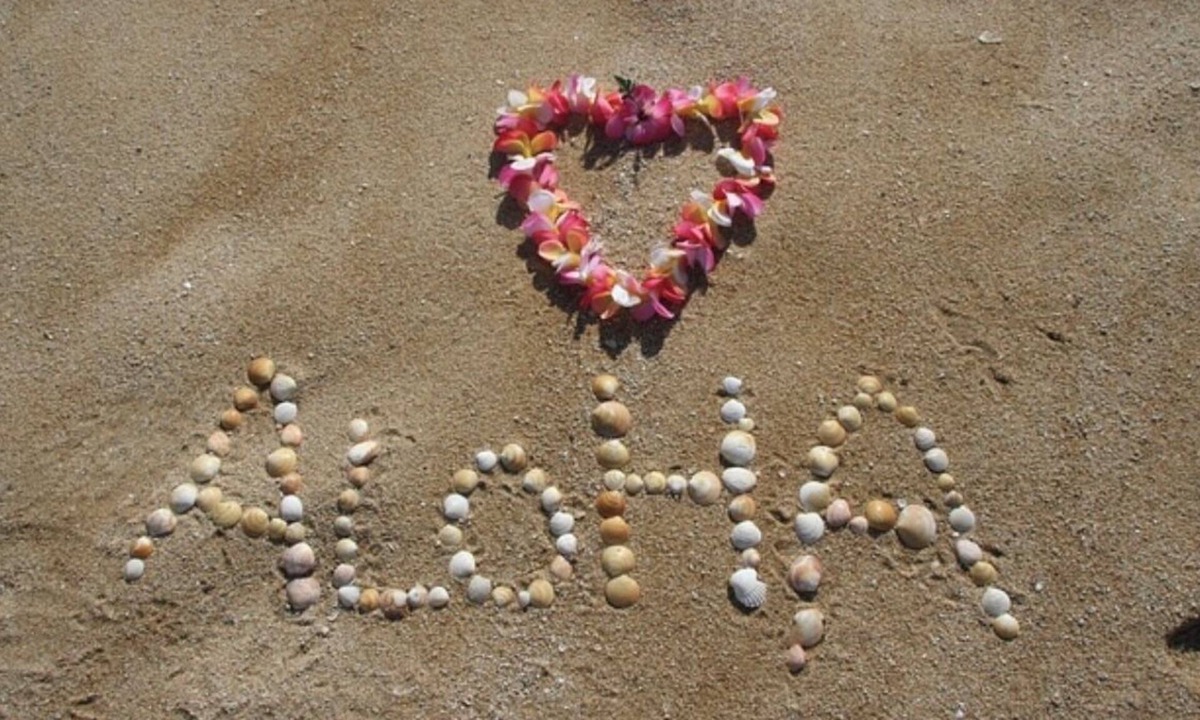 Kahuku Condo | 1 bedroom + loft- Sleeps up to 6. August sale: stay 3 nights&waive cleaning fee