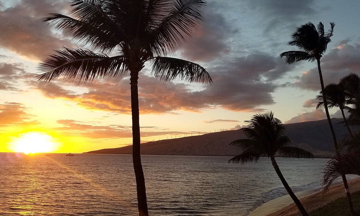 Kihei Condo | Beachfront Direct Ocean Views, End Unit, AC, Wi-Fi TVs, Elevator, Free Parking