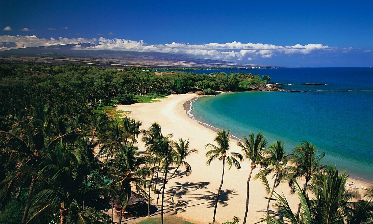 Kamuela House | BEST PLACE TO STAY! Close to Town and World Class Beaches!
