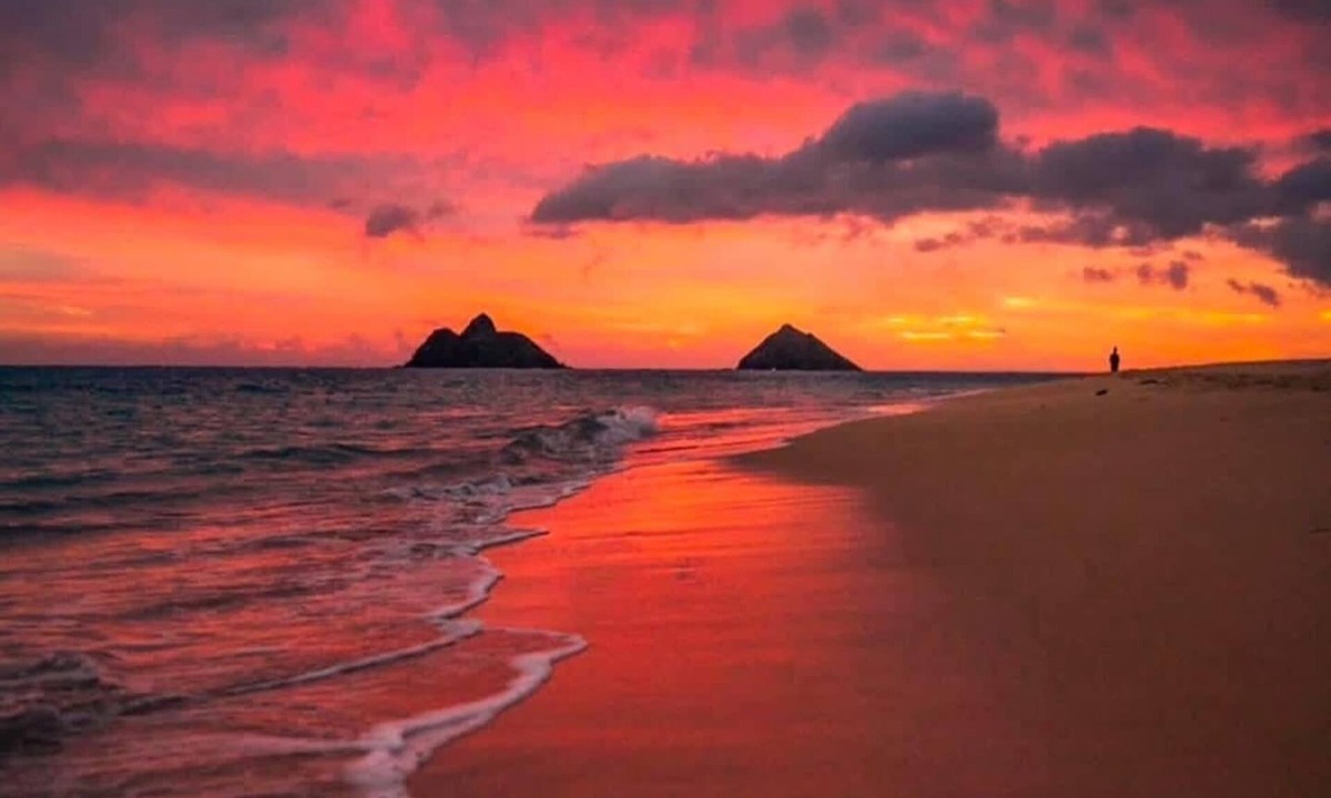Lanikai Cottage | CHRISTMAS AVAILABILITY! Charming Lanikai Kailua Cottage. Custom Stay Requests.