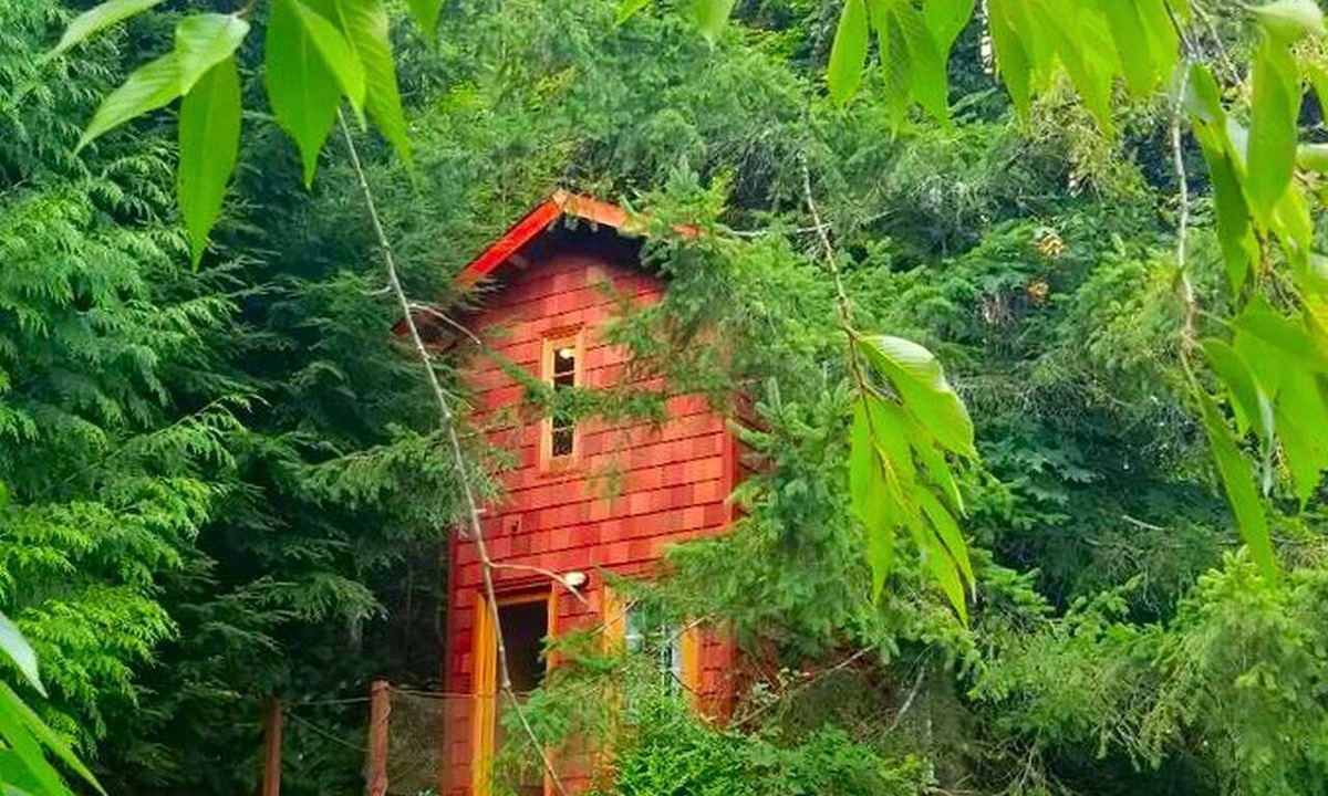 Snohomish Cabin | Idyllic Tree House Rental with a Cozy Fireplace in Snohomish, Washington
