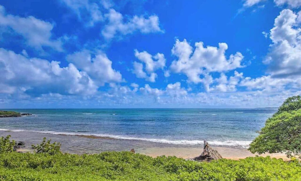 Wailua House Lots Condo | Kapa'a Sands Condo | Oceanfront Views