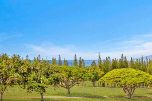 Kapalua Apartment | Kapalua Golf Villas 6 FREE Rental Cars KBM Resorts Large Bedrooms 6 Units 8 Bedrooms ML-2363
