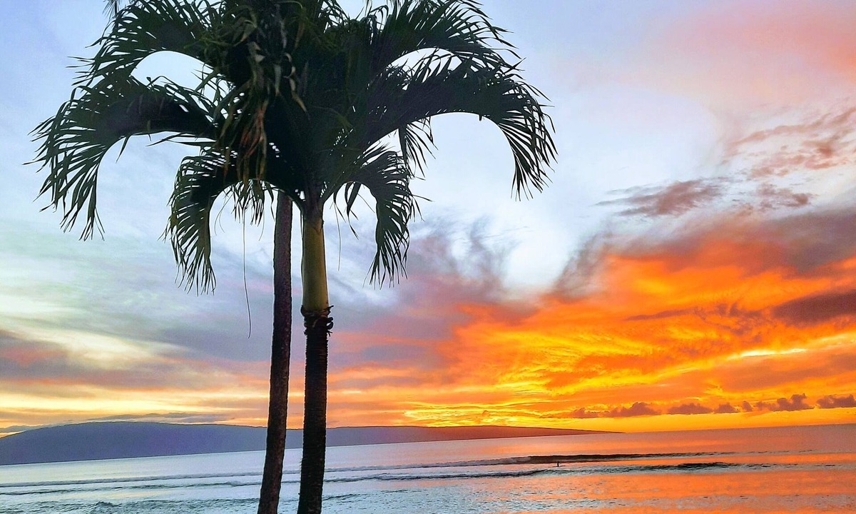 Honokowai Condo | Kuleana 407 Ground Oceanfront - No Additional Owner Fees and Discounts Available