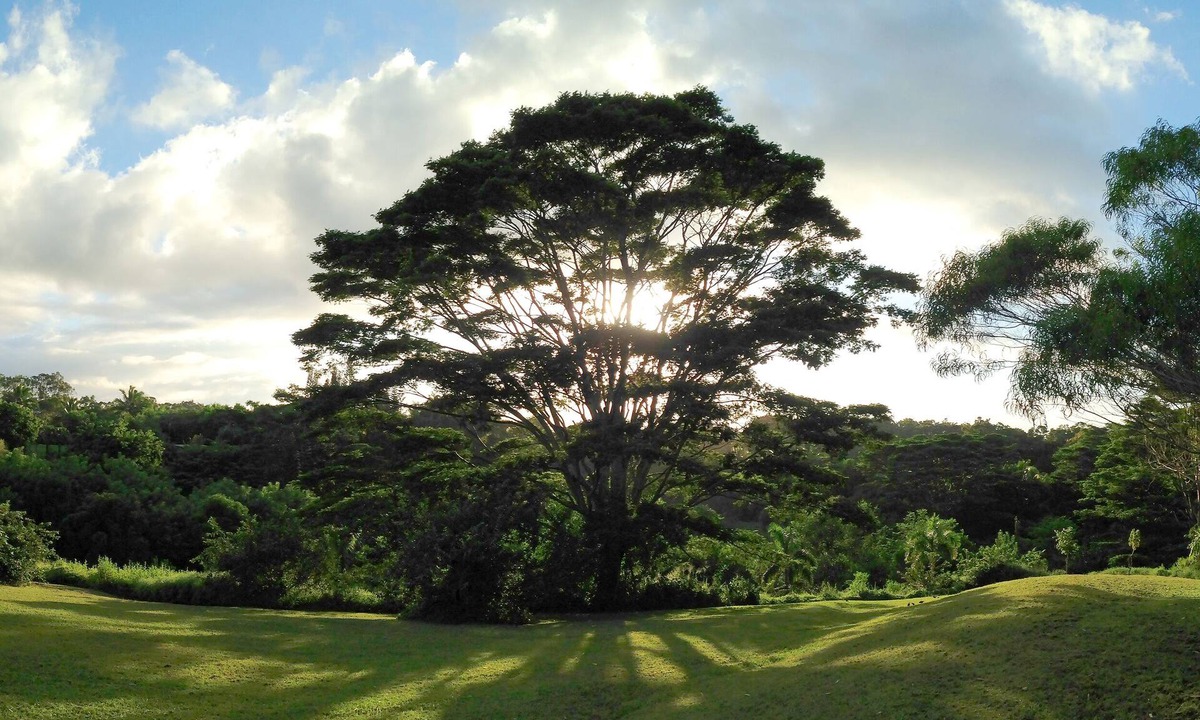 Pauwela Apartment | Peaceful Haiku Retreat Beach 10 Min & Paia 15 Min