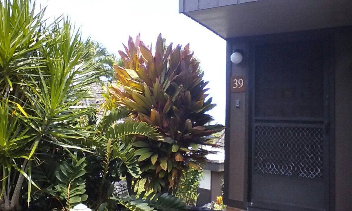 Punaluu Condo | Relaxing Studio Condo Getaway, Minutes From Black Sand Beach *Newly Renovated*