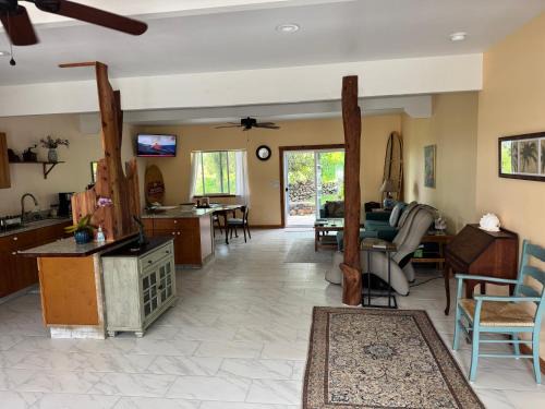Kealakekua House | Silver Dollar Tree