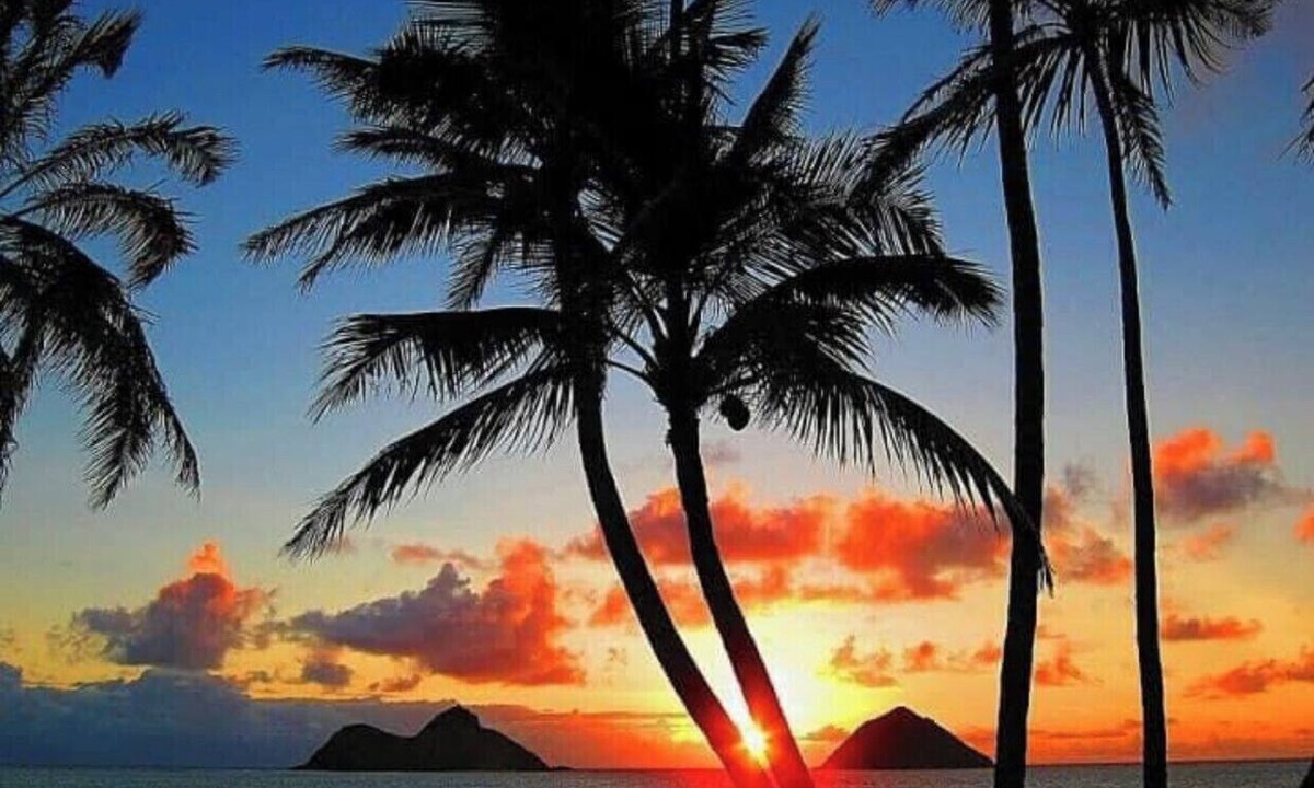 Waikiki Apartment | Waikiki studio USD68.00 per day