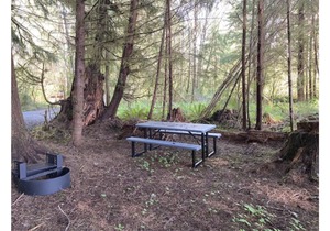 Primitive Tent Site #6- Beautiful Forested Property in Forks