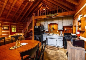 Rustic Log Cabin Retreat: Hot Tub, Pond, Pet in Copperhill