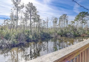 Sea Pines villa with views of the Lagoon & Landscape in Hilton Head Island