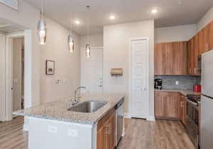Texas Corporate Housing Solutions Professional Apt in McKinney