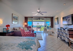 Top Floor Studio Ocean View, Golf Cart, Beach Cabana, Jacuzzi, Pool in Kaanapali