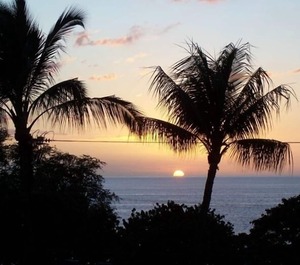 Maui Parkshore 