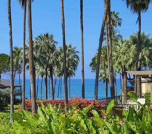 Sugar Beach Resort Kihei 