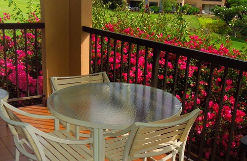 Wailea Condo | 1br/1ba Condo Steps From The Pavilion pool, Mokapu Beach with beautiful views.