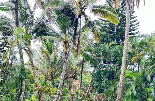 Kapoho Apartment | A wonderful property for 2 person