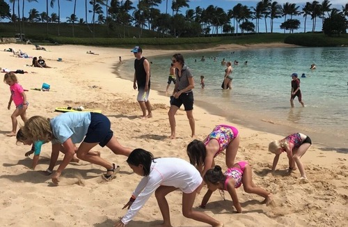 Ko Olina Hotel | Aulani, Disney Vacation Club Studio Villa