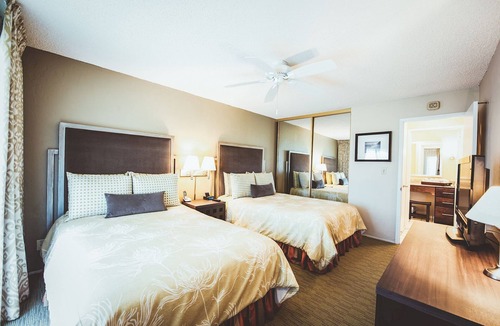 Wailua Hotel | Dive Into Your Dream Vacation! 4 Relaxing Suites with Kitchen | Swimming Pool