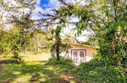 Kapoho Apartment | Dog-Friendly Pahoa Studio Near the Beach & Town with Fast WiFi