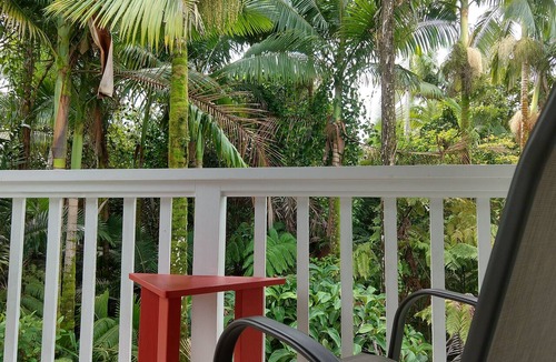 Leilani Estates House | Forest Retreat, Exceptional 10/10, all 5 star, Guest Favorite