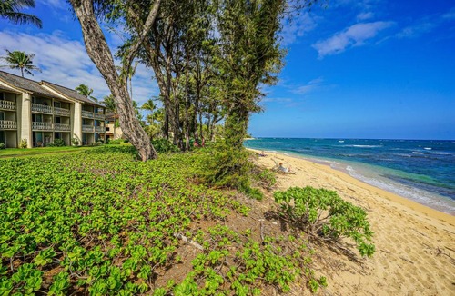 Wailua Hotel | Islander on the Beach 149