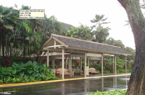 Wailua Apartment | Islander On The Beach - Oceanfront Resort/Oceanview Unit 244