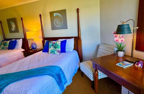 Hanamaulu Apartment | Lagoon View Room At Resort