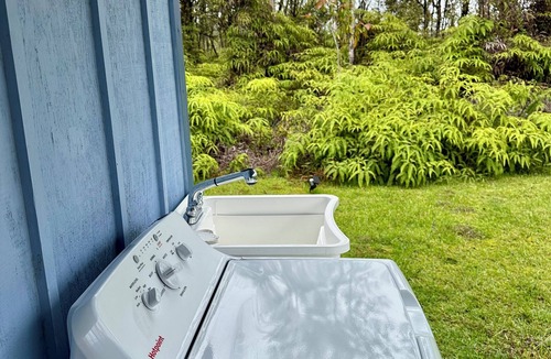 Fern Acres Apartment | Large downstairs apartment in temperate forest