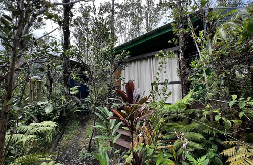Eden Roc Cabin | Off-Grid Rainforest Sanctuary & Dog Rescue