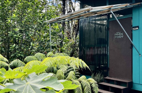 Eden Roc Cabin | Off-Grid Rainforest Sanctuary & Dog Rescue