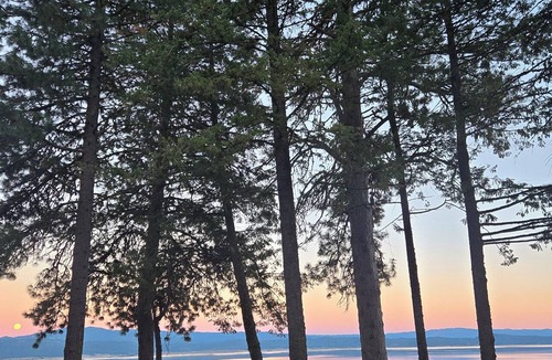 Tamarack House | Peaceful cabin 5 mi. from Tamarack. Perfect for relaxing or outdoor adventures!