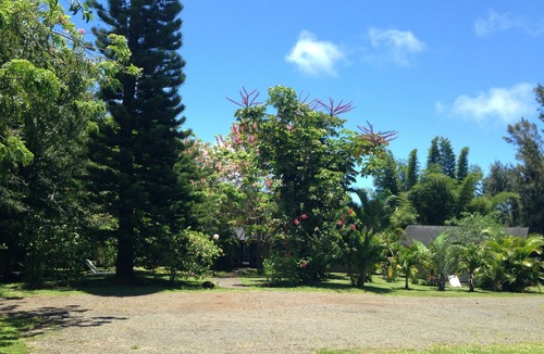 Pauwela Apartment | Peaceful Haiku Retreat Beach 10 Min & Paia 15 Min