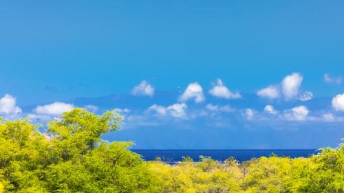 Kamuela Villa | ❤PiH❤ Once Upon a Tide OceanViews Resort Pool Waterslide Passes Included