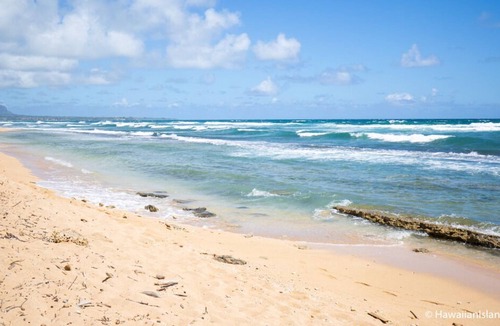 Hanamaulu House | Prime Location! 4 Comfortable Units, Outdoor Pool, Minutes to Lydgate State Park