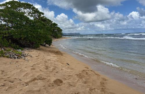 Hanamaulu House | Private Beachfront Ocean View with Resort Amenities!