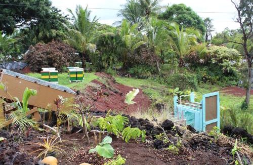 Puna Palisades Apartment | Sweet Spot Stay - Tropical TreeTops Home