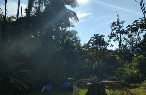 Leilani Estates House | Tropical Forest Retreat, Exceptional 10/10, all 5 star, Guest Favorite
