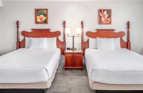 Kahului Hotel | Unwind, Recharge & Explore | 3 Oceanfront Units | Outdoor Pool | Pets Allowed