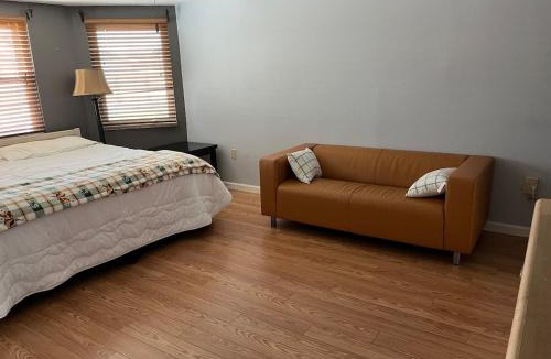 Venice East House | Venice Dove Shell