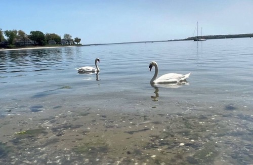 Warwick Apartment | Waterfront 2-bedroom apartment in Beach Cottage with WiFi, AC Central RI Locale