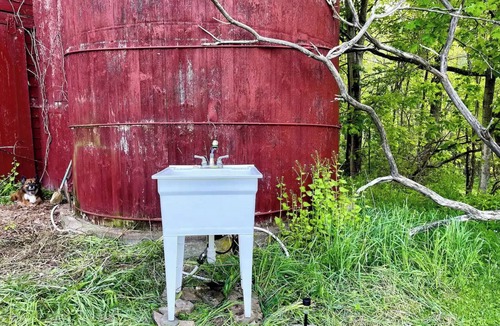 Town of Fulton Cabin | Wildflower Tiny Cabin & Majestic Waterfall