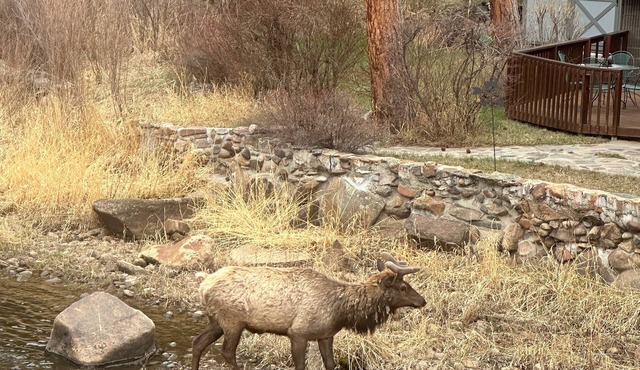 1 bed Cabin on the Big Thompson River 5 min to Estespark with HOT TUB and grill in Drake