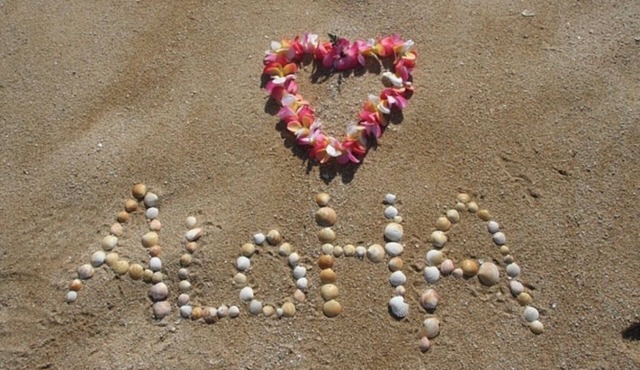 1 bedroom + loft- Sleeps 6. September sale: stay 4 nights & waive cleaning fee in Kahuku