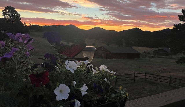 5 Star Updated Home with Views - Spacious, AC, Fast Wi-fi, near Red rocks in Morrison