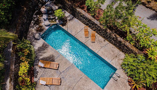 🌴 Ah-mazing Oceanfront Luxury Retreat 🌊 private pool, black sand beach, pond, AC