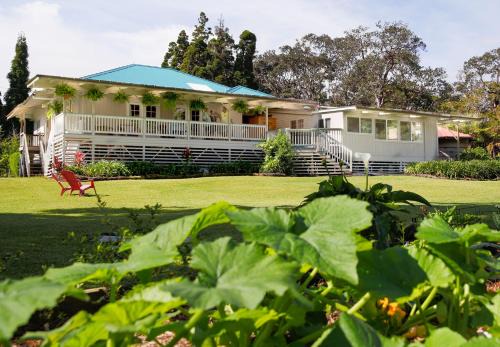 Aloha Junction Guest House - with 5 Private Suite 1-Mile from HVNP in Volcano