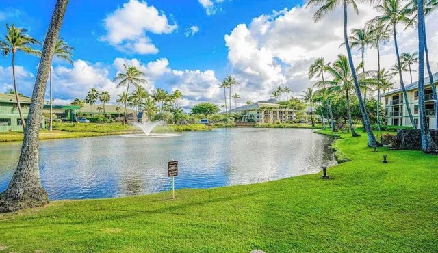 August sale! Water-View 3rd-Floor Lihue Condo with Pool, Steps to Beach