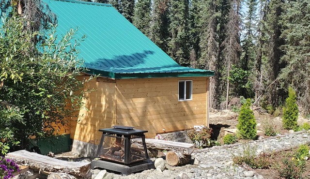 Baby Bear Kenai/Soldotna fishing cabin- sleeps 3 - Alaska Building a Dream in Soldotna