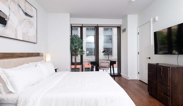 Back-Bay Upscale Central Condo Rooftop & Parking in Boston